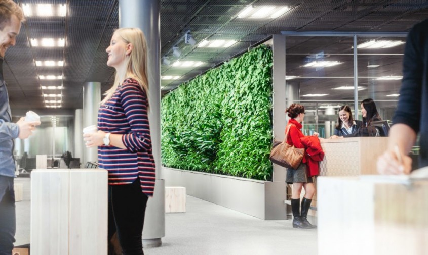 Peretele vegetal Naava - Care este legătura dintre un perete vegetal și inteligența artificială?
