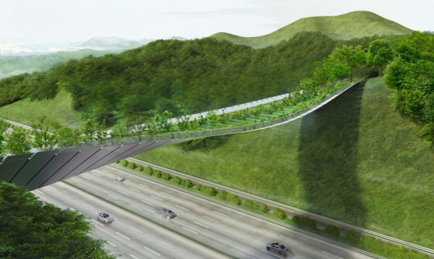 Un pod cu vegetatie tine la distanta animalele salbatice de o autostrada aglomerata - Un pod