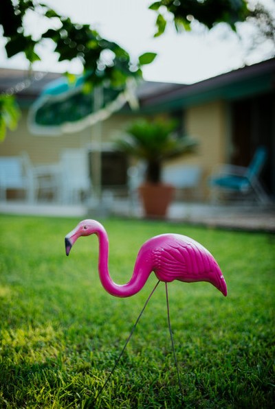 Păsările flamingo - accesoriile ideale pentru decor - Păsările flamingo - accesoriile ideale pentru decor