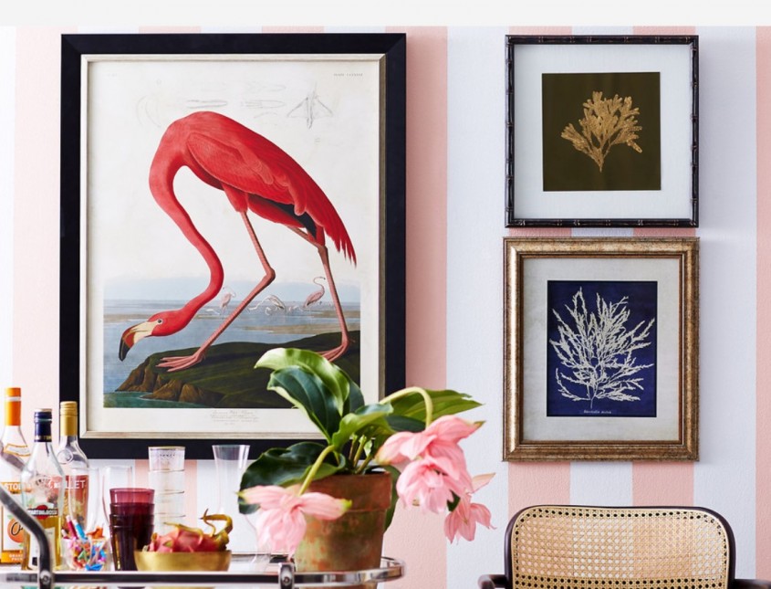 Păsările flamingo - accesoriile ideale pentru decor - Păsările flamingo - accesoriile ideale pentru decor
