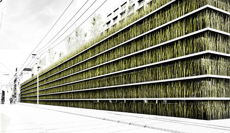 Concept pentru un spatiu de parcare inchis complet in vegetatie - Concept pentru un spatiu de