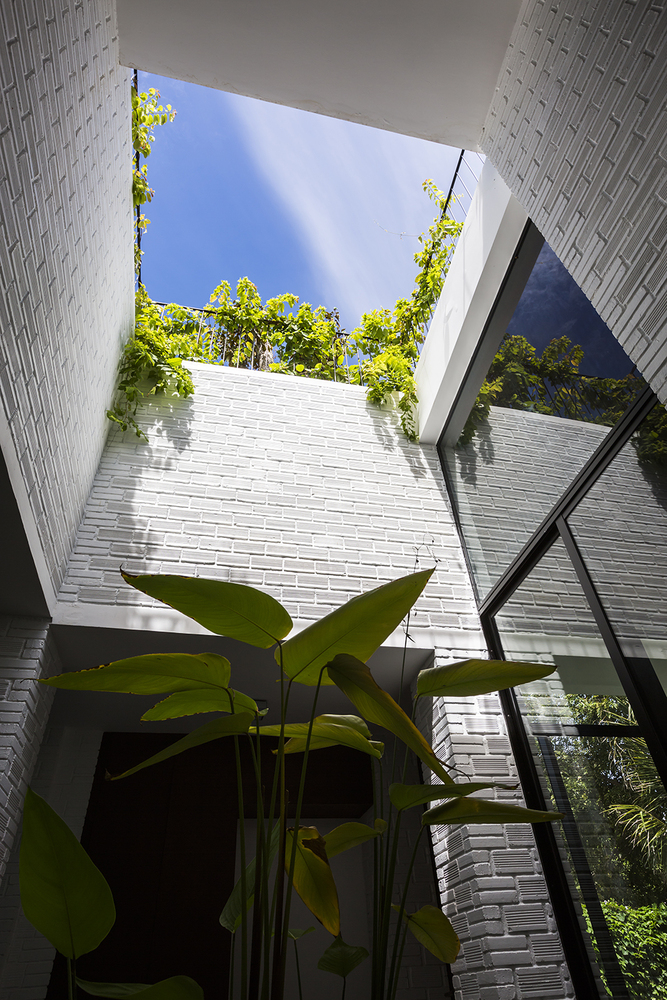 Casa Hoan - O terasa plina de vegetatie amenajata pe acoperisul casei 