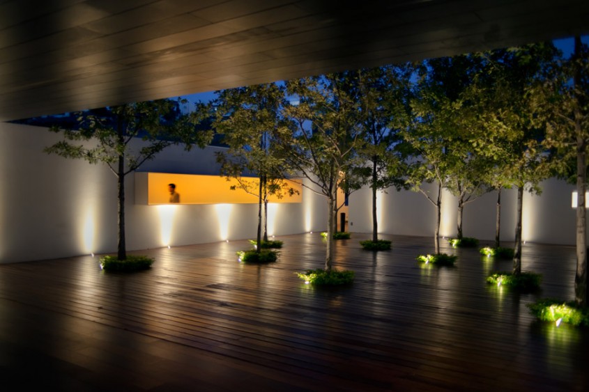 Casa MK - Resedinta contemporana construita in jurul "unei paduri de stejari"