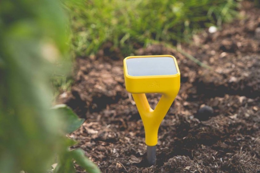 Senzorul Edyn - Accesorii și gadget-uri pentru grădină - ce nu trebuie să-ți lipsească vara asta 