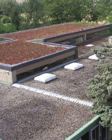 Argumente in favoarea unui acoperis verde - Argumente in favoarea unui acoperis verde