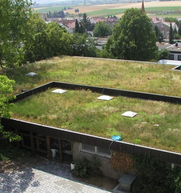 Argumente in favoarea unui acoperis verde - Argumente in favoarea unui acoperis verde