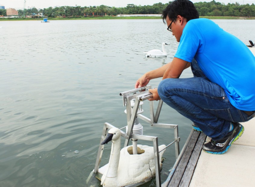 Lebedele robotice folosite pentru a monitoriza calitatea apei potabile din Singapore - Lebedele robotice folosite pentru