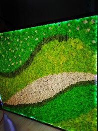 Perete verde - detaliu - Pereti verzi cu muschi si licheni