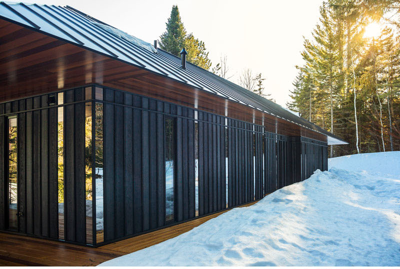 O casă de oaspeți construită din metal și înconjurată de pădurea din Vermont - O casă