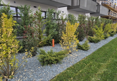 Plantare si toaletare arbori si arbusti - Plantare si toaletare arbori si arbusti