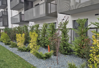 Plantare si toaletare arbori si arbusti - Eco Garden Construct - Plantare si toaletare arbori si