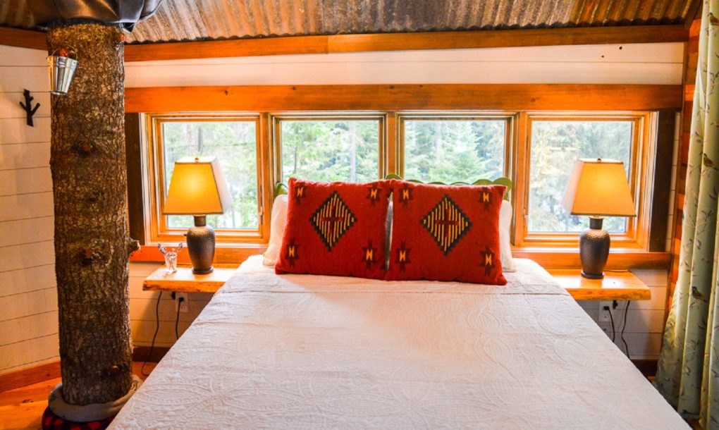 Montana Treehouse Retreat - Patru arbori cresc in interiorul acestei cabana 