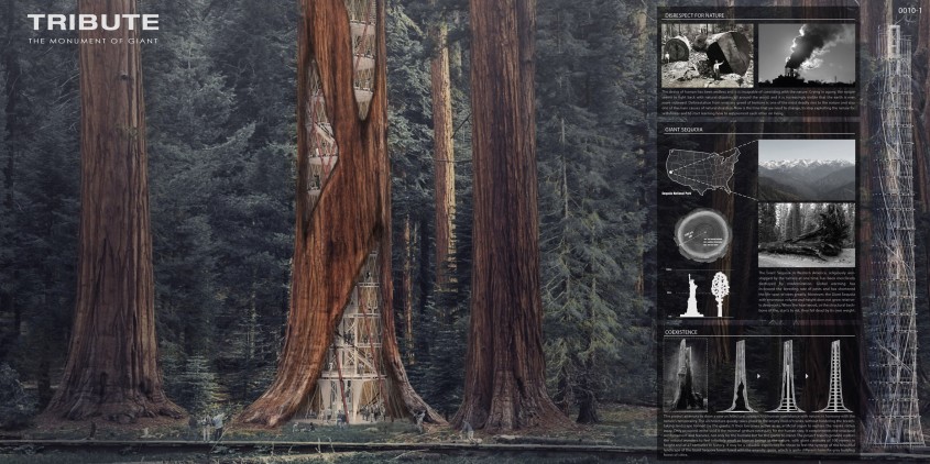 Zgarie-norii din arborii putreziti de sequoia un mod surprinzator de a le preveni prabusirea - Zgarie-norii