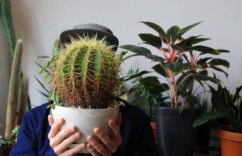 6 greseli pe care oricine tine plante in apartament le poate face - 6 greșeli pe