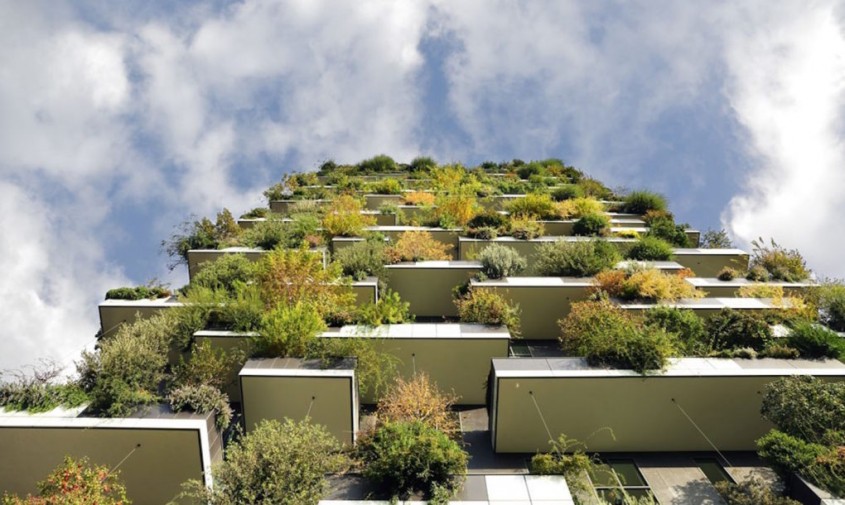 Prima pădure verticală din Franţa cu un hectar de verdeaţă - Prima clădire cu fațadă înverzită
