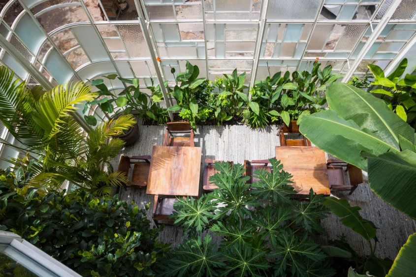 Pereții din sticlă ai unui restaurant din Vietnam acoperiți de plante tropicale - Pereții din sticlă