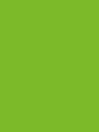 449 Spring Bud - Paletar placi HPL