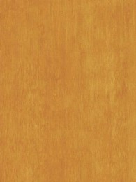 749 Bamboo Gold - Paletar placi HPL