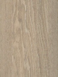 771 Cambrige Oak - Paletar placi HPL