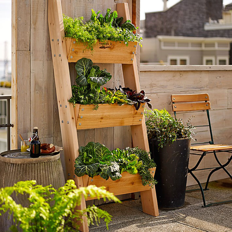 Mini-grădini de legume pentru începatori - Mini-grădini de legume pentru începatori