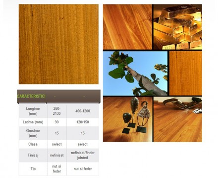 Parchet masiv exotic nefinisat - Teak Parchet masiv exotic nefinisat - Teak - Parchet masiv exotic nefinisat