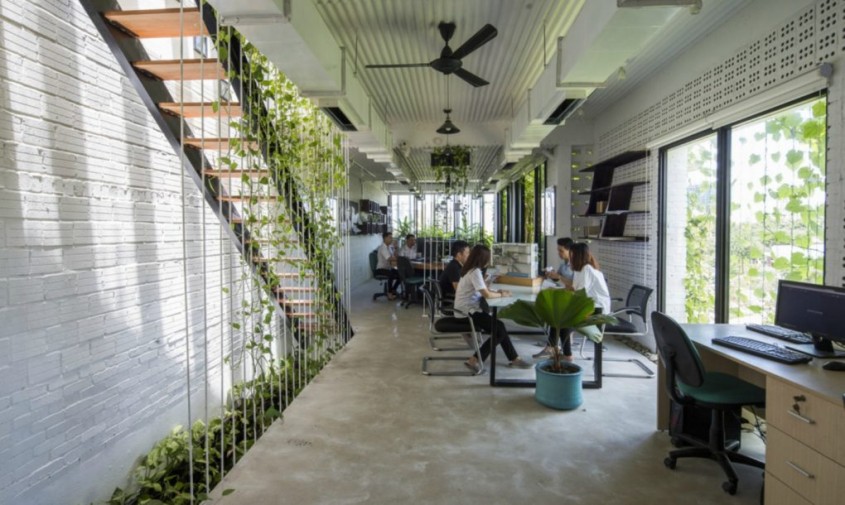 O clădire de birouri verde acoperită cu plante native - O clădire de birouri verde acoperită