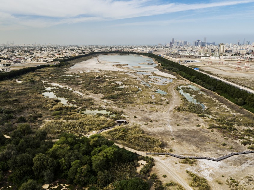 Fosta groapa de gunoi transformata sa devina parc natural - Fosta groapa de gunoi transformata sa