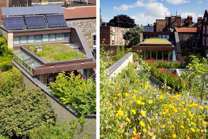 Casa solara cu gradini pe acoperis - Muza - casa solara imbracata in verdeata in Londra