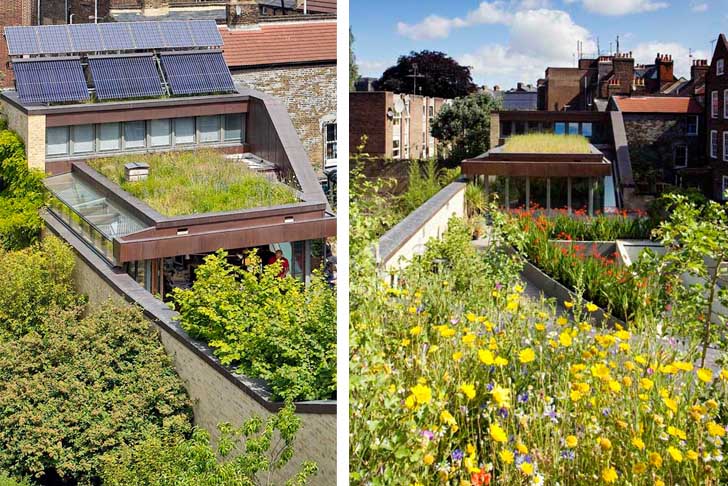 Casa solara cu gradini pe acoperis Casa solara cu gradini pe acoperis - Muza - casa solara imbracata in verdeata in Londra