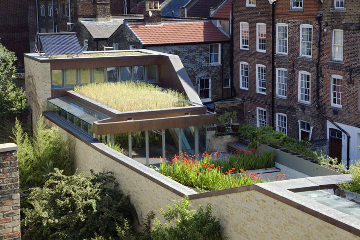 Casa solara cu gradini pe acoperis Casa solara cu gradini pe acoperis - Muza - casa solara imbracata in verdeata in Londra