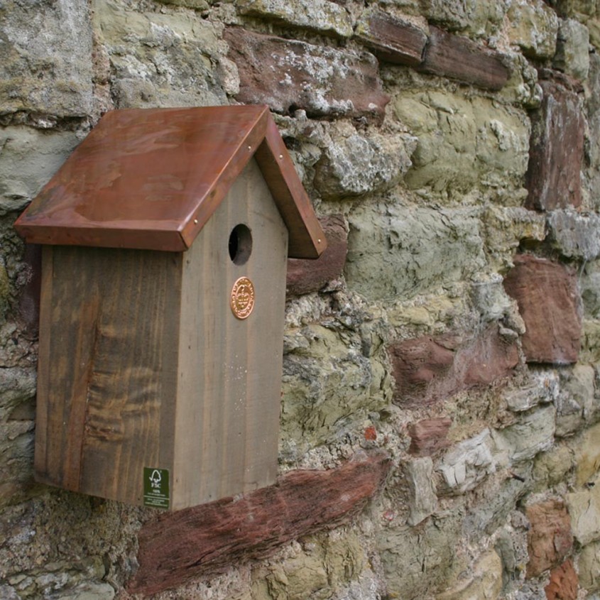 Foto amara co uk - Casutele pentru pasari pot fi montate si pe un perete (foto