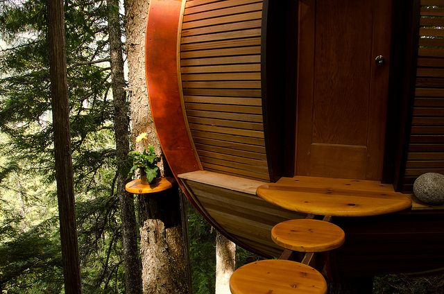Secret-HemLoft-Treehouse-in-Canadian-Woods-2 - Loft ascuns in "tinutul elfilor"