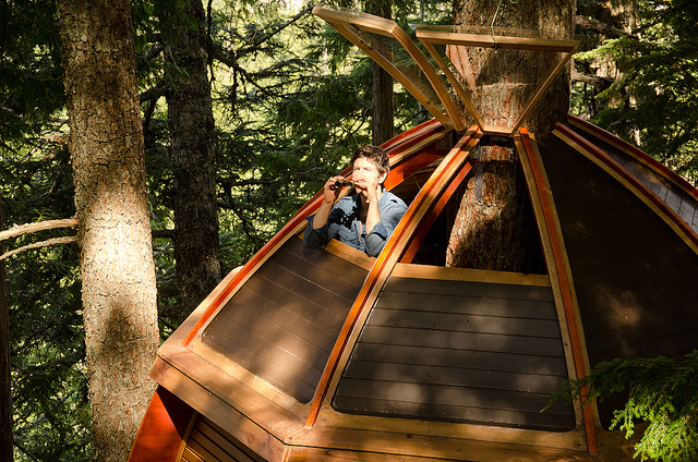 Secret-HemLoft-Treehouse-in-Canadian-Woods-6 - Loft ascuns in "tinutul elfilor"