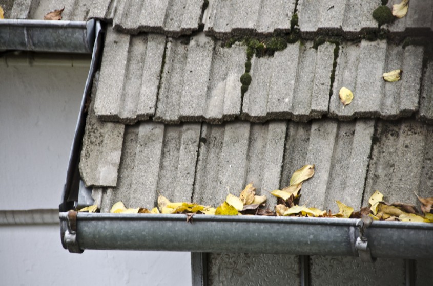 Frunzele cazute pot infunda jgheaburile si burlanele iar vegetatia de pe acoperire poate afecta tiglele -