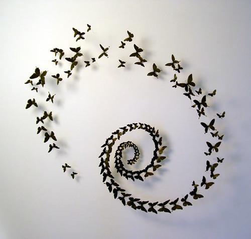 Paul Villinski. Fluturi din cutii de aluminiu - Opere de arta din cele mai neobisnuite materiale