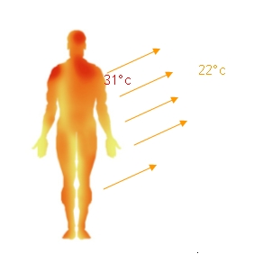 Temperatura interioara a unei persoane obisnuite este de 36.8 grade - Temperatura interioara