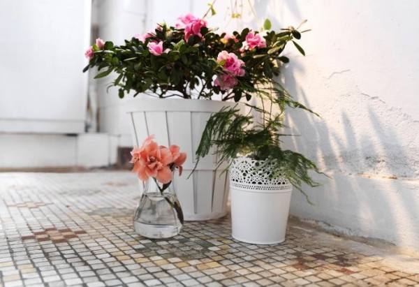 Un aer vintage cu flori de gradina si recipiente reciclate - Florile dau volum lumina culoare