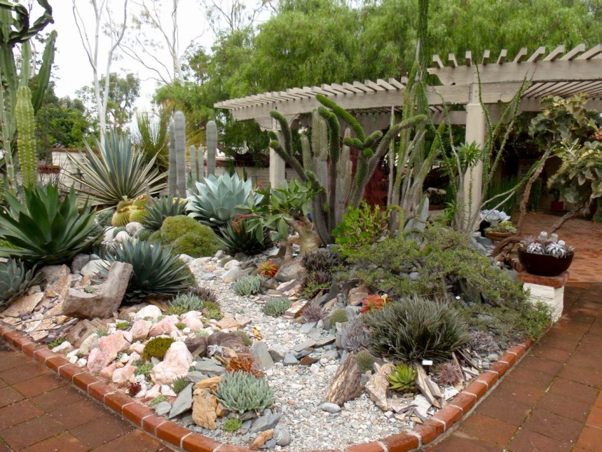 O intreaga curte interioara bazata pe cactusi nisip si pietris - Idei de amenajare cu cactusi