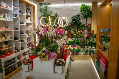 Interior florarie  Barlad Amedio Ideas