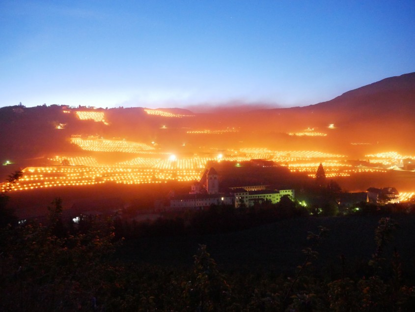 Sute de torțe aprinse încălzesc viile din nordul Italiei. Imagini de basm
