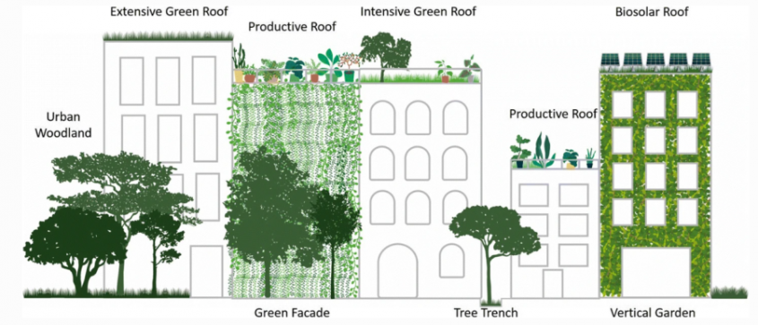 Rolul acoperișurilor verzi în construcțiile nZEB