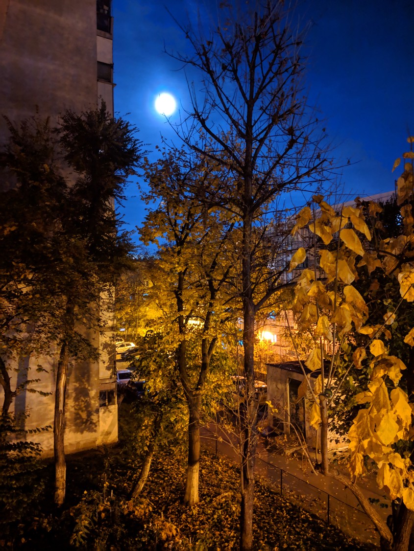 Cum s-a văzut noiembrie la noi. Imaginile cu care ne luăm rămas-bun de la toamnă