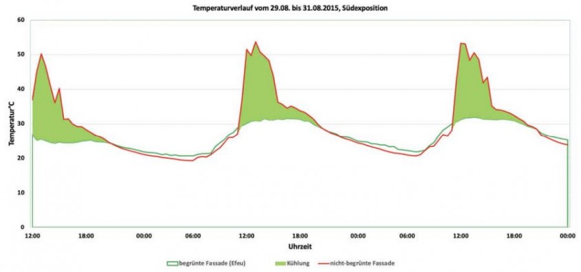 Diferențele de temperaturi între peretele convențional și peretele vegetal
