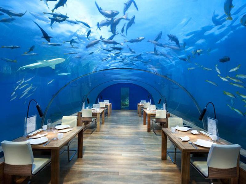Prima vilă de sub ape se deschide în Maldive și le oferă oaspeților priveliști formidabile cu
