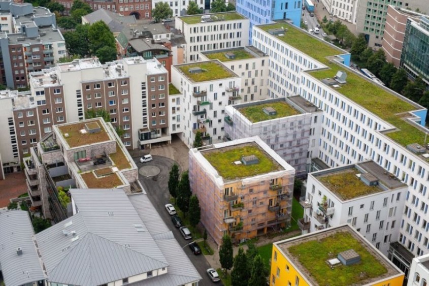 Inundațiile urbane fac ravagii: Acoperișurile verzi, soluția salvatoare pentru orașele României
