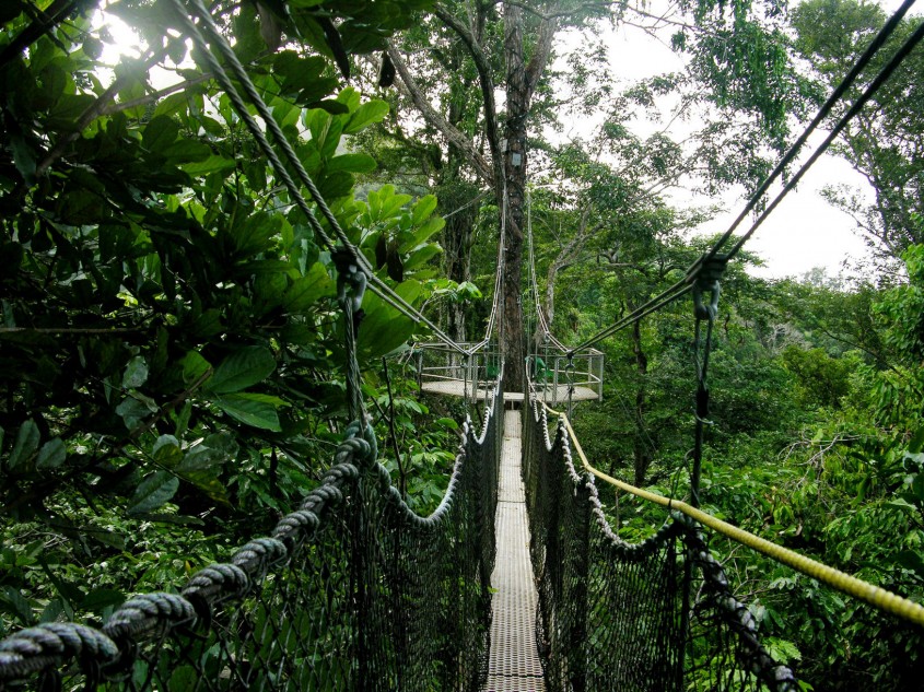 Iwokrama, Guyana