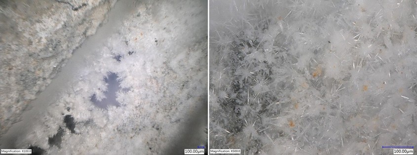Figura 1 & 2: Creșterea cristalelor în beton fisurat (stânga: mărire x100, dreapta: mărire x500) 