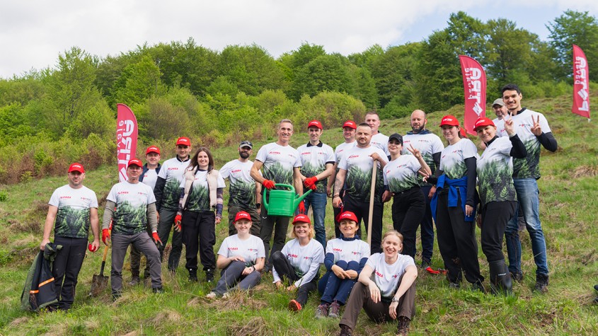 Florea Grup plantează 42.000 de puieți pe o suprafață de 9 hectare în județul Alba