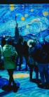 Sunetul imersiv Bose Professional la MINA – Museum of Immersive New Art