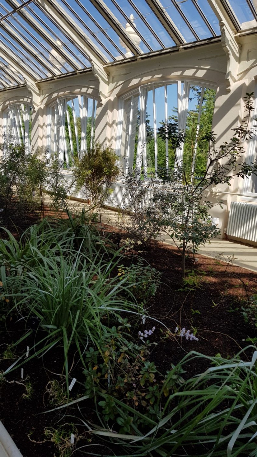 Spectaculoasa Temperate House, cea mai mare seră victoriană din lume, s-a redeschis